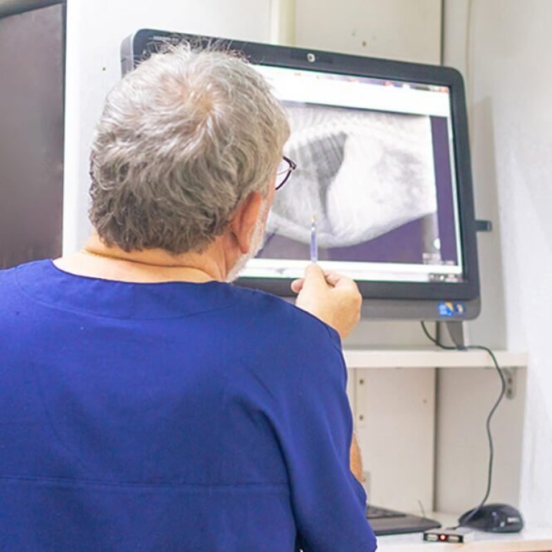verdum-barcelona-traumatologia