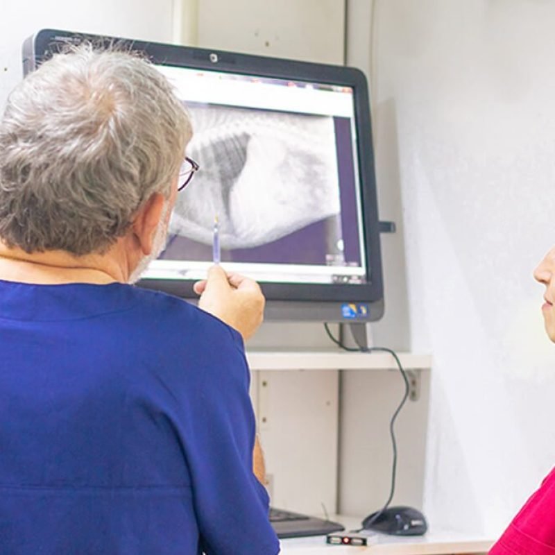 verdum-barcelona-traumatologia verdum-barcelona-traumatologia